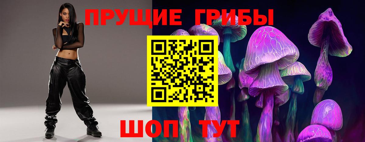 Галлюциногенные грибы Psilocybe Ставрополь