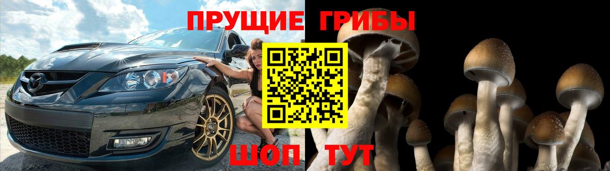 Ставрополь  Псилоцибиновые грибы мицелий  Галлюциногенные грибы Psilocybine cubensis  Вход с VPN 